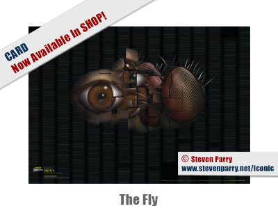 The Fly